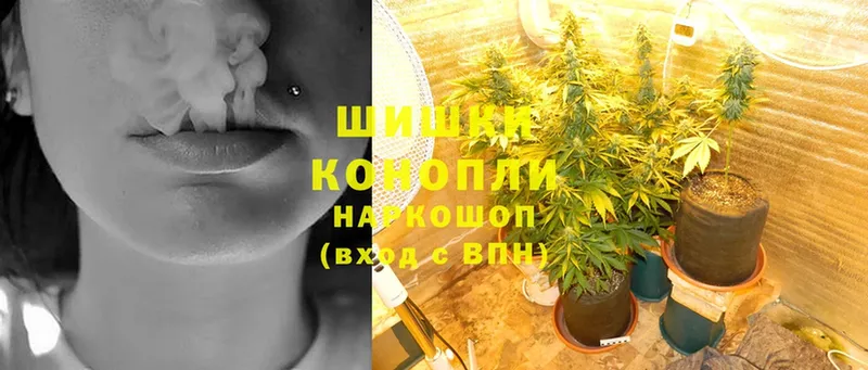 купить   Тюмень  Бошки марихуана SATIVA & INDICA 